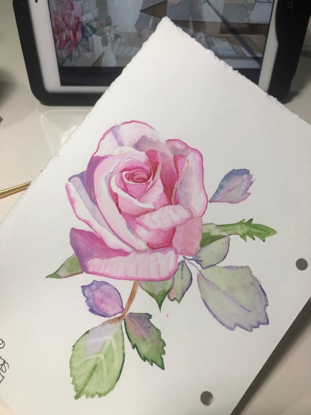 Opera rose - image 1 - student project