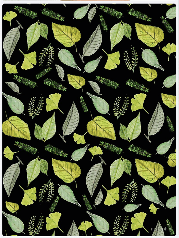 Leafs - image 2 - student project