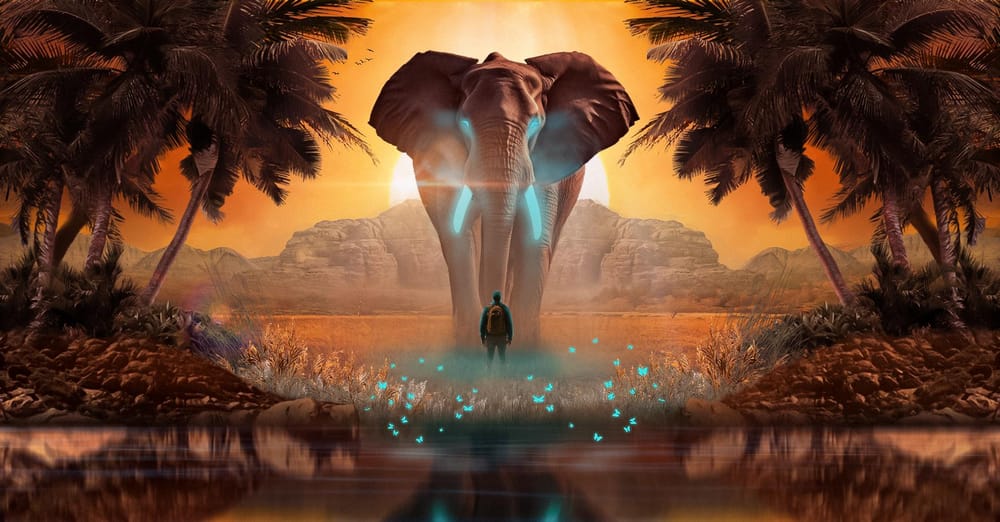Elephant - image 1 - student project