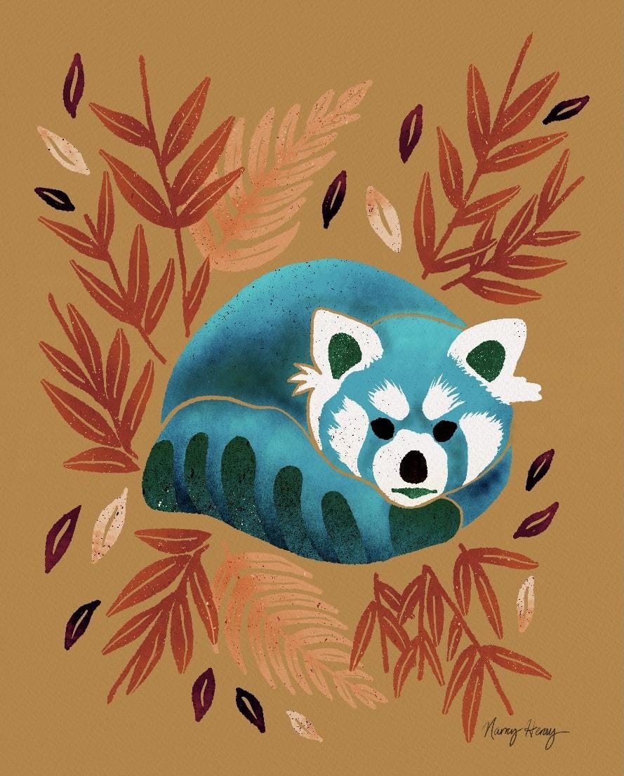 Red Panda - image 1 - student project