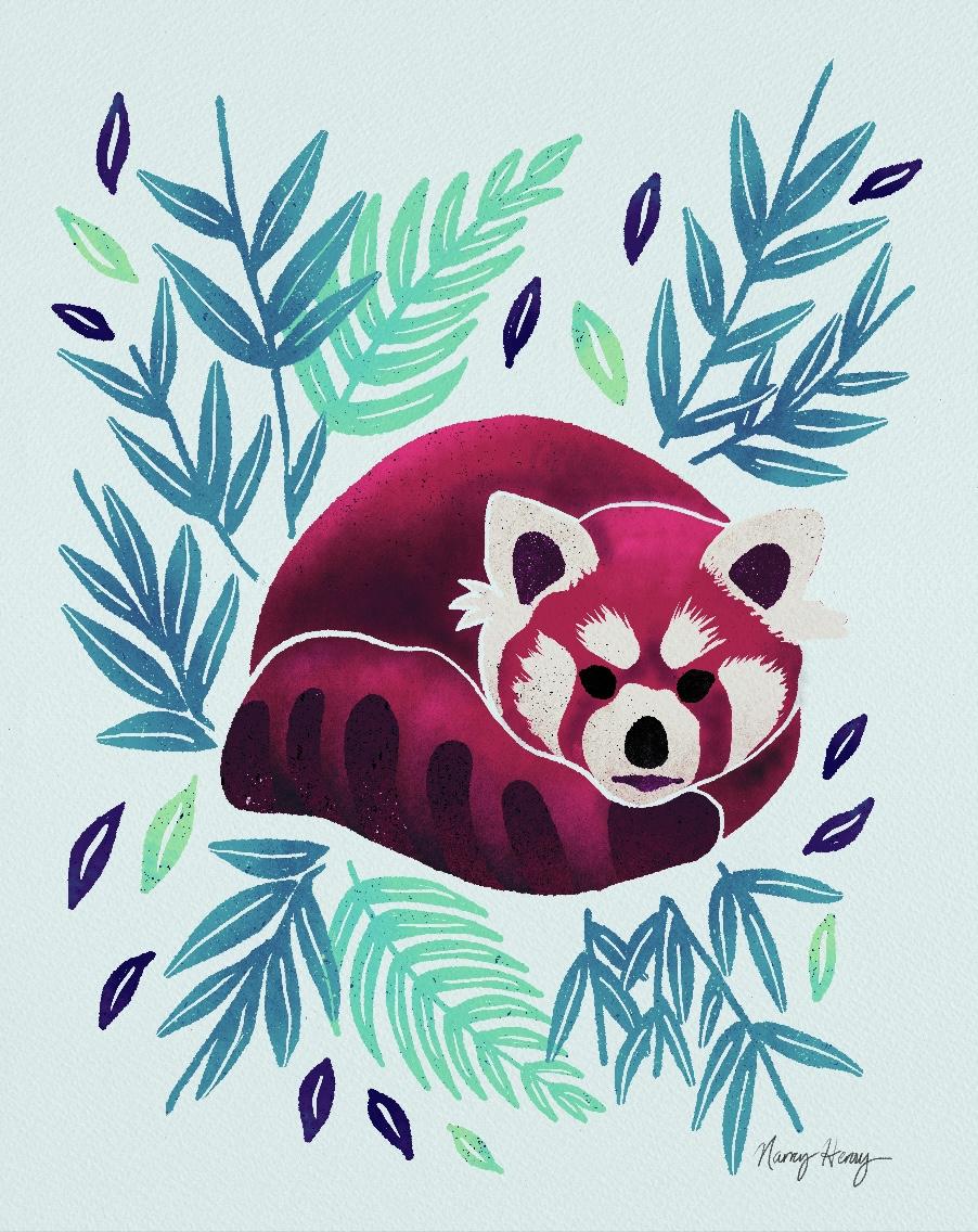 Red Panda - image 2 - student project