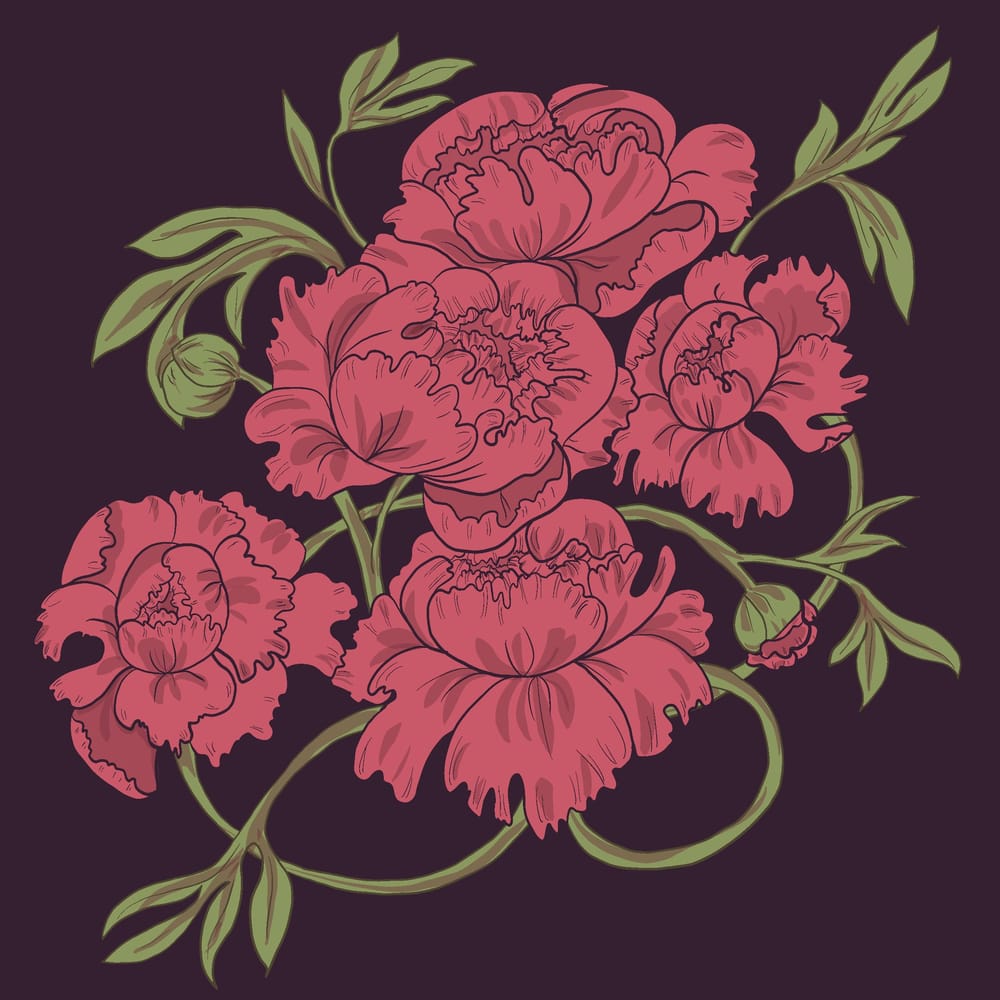 Peony & Violet - image 2 - student project
