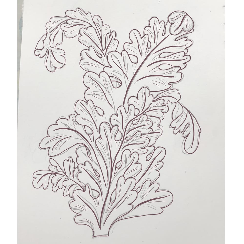 Acanthus Practice - image 4 - student project