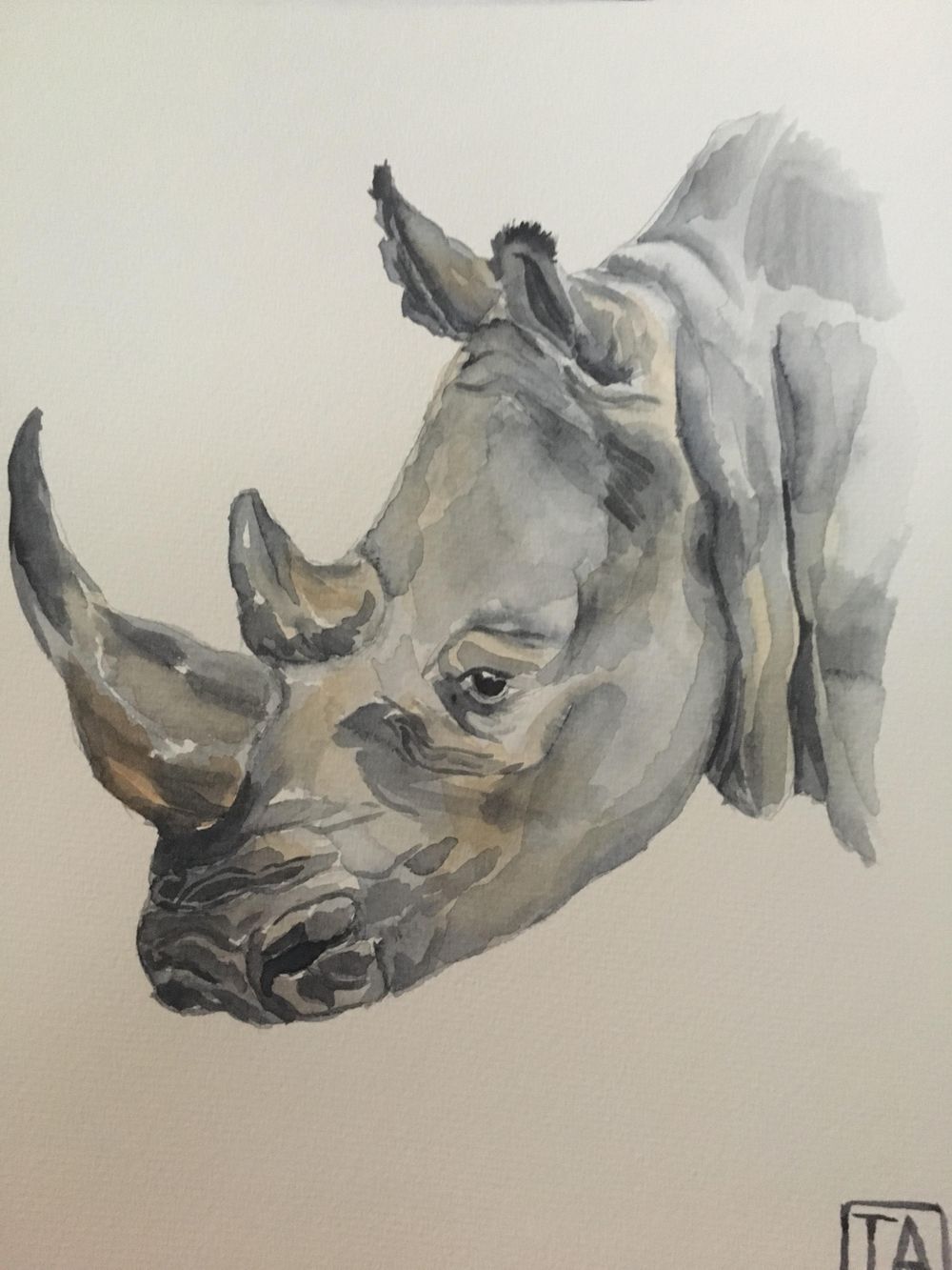 Rhinocerous - image 1 - student project