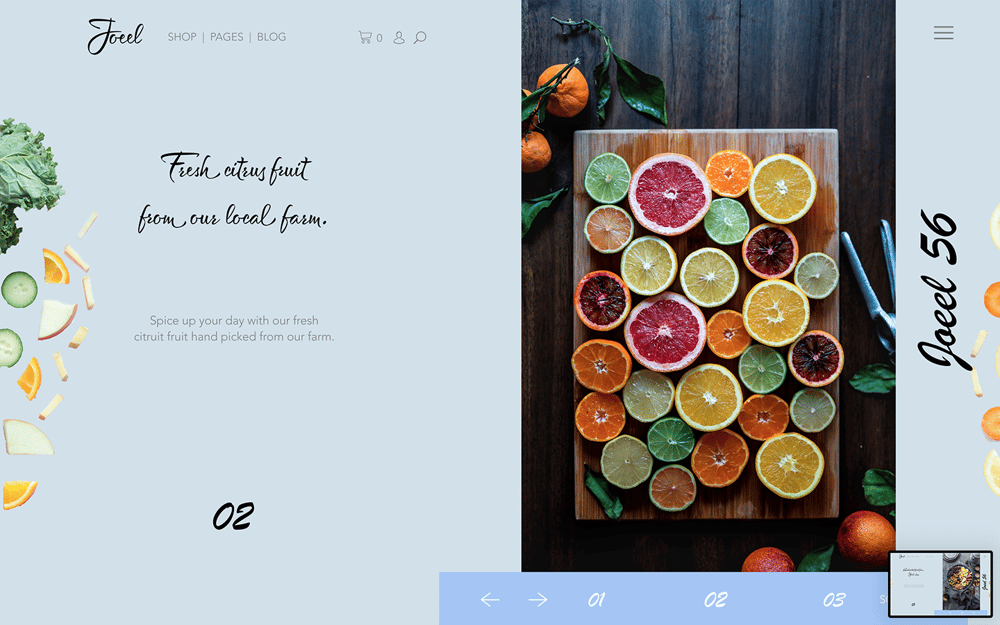 Joeel Shop - image 2 - student project