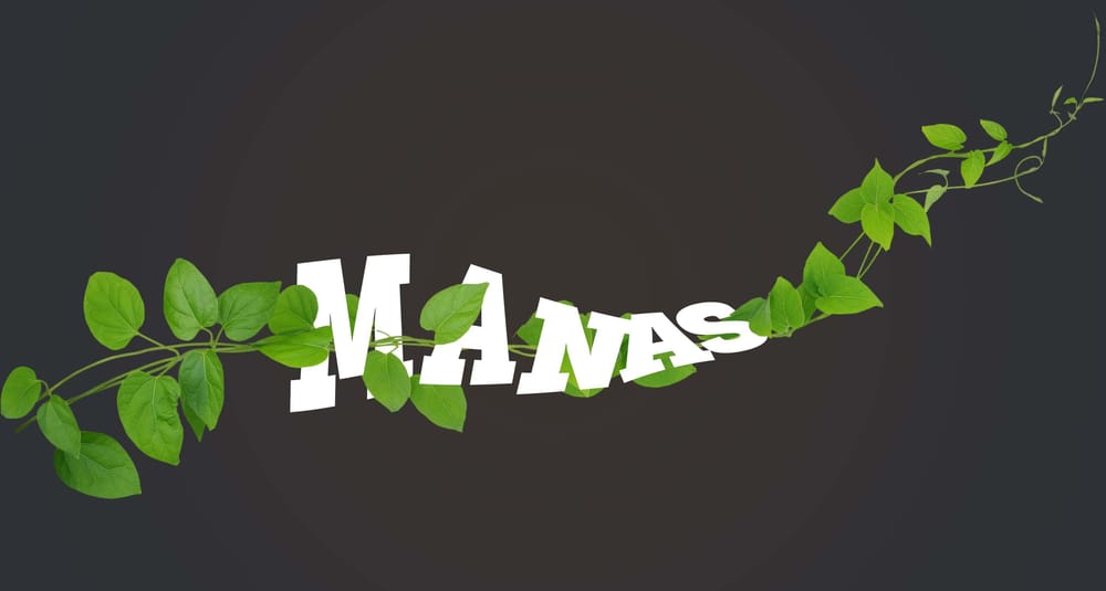 Class Projects (Ps Advance) - Manas Misal - image 8 - student project