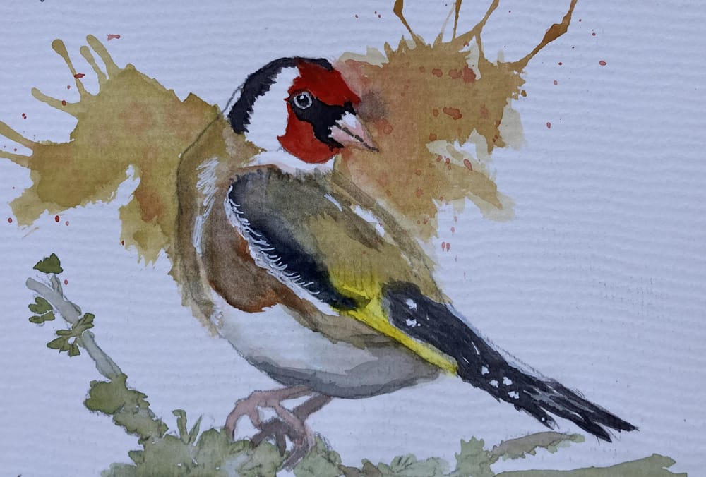 Goldfinch-3/24/24 - image 1 - student project