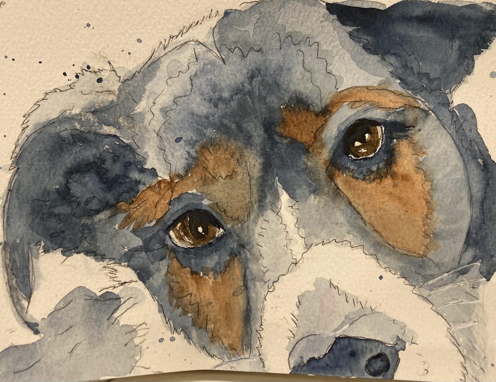 Dog portrait - 12-26-2022 - image 1 - student project