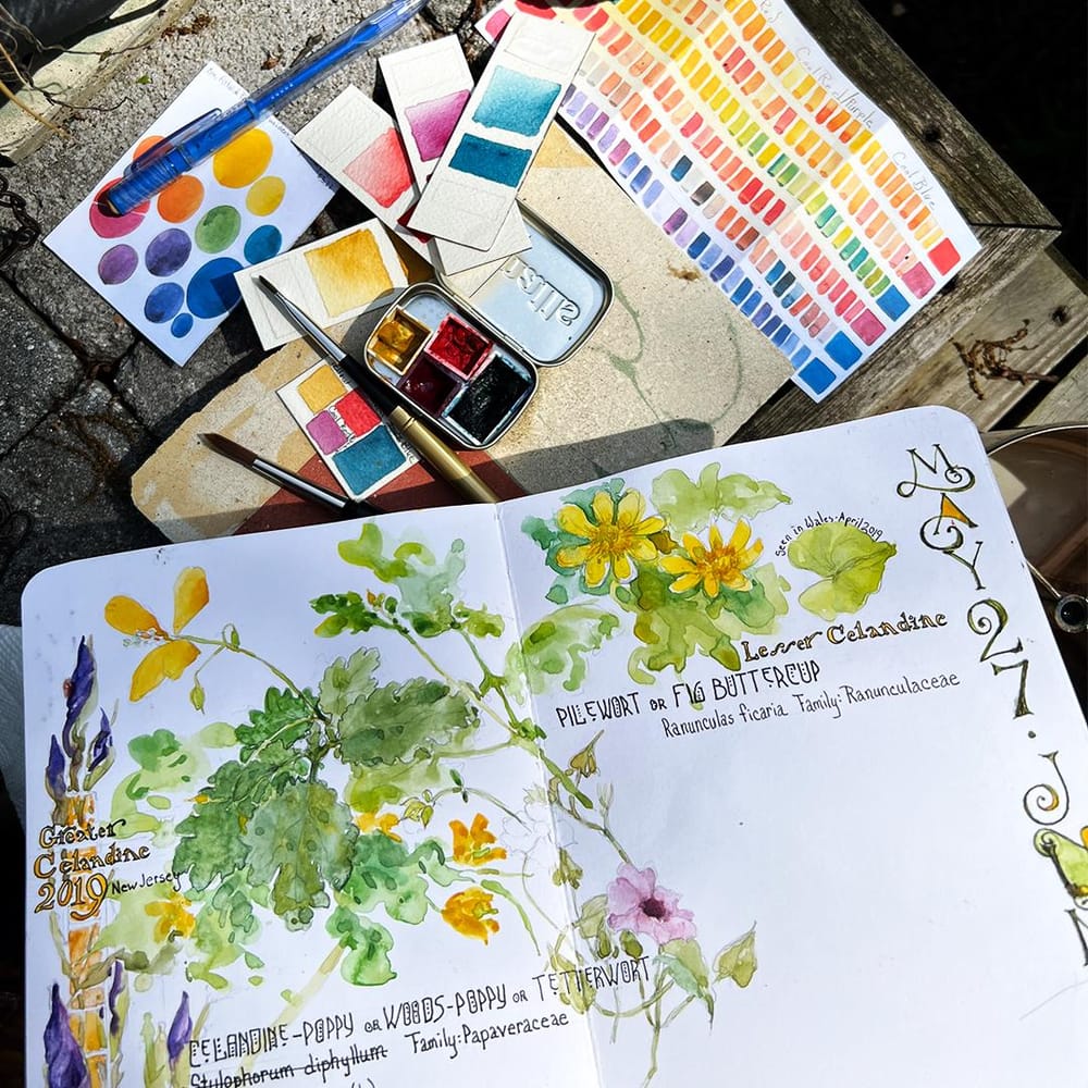 Perpetual Plant Journal en Plein Air - image 1 - student project