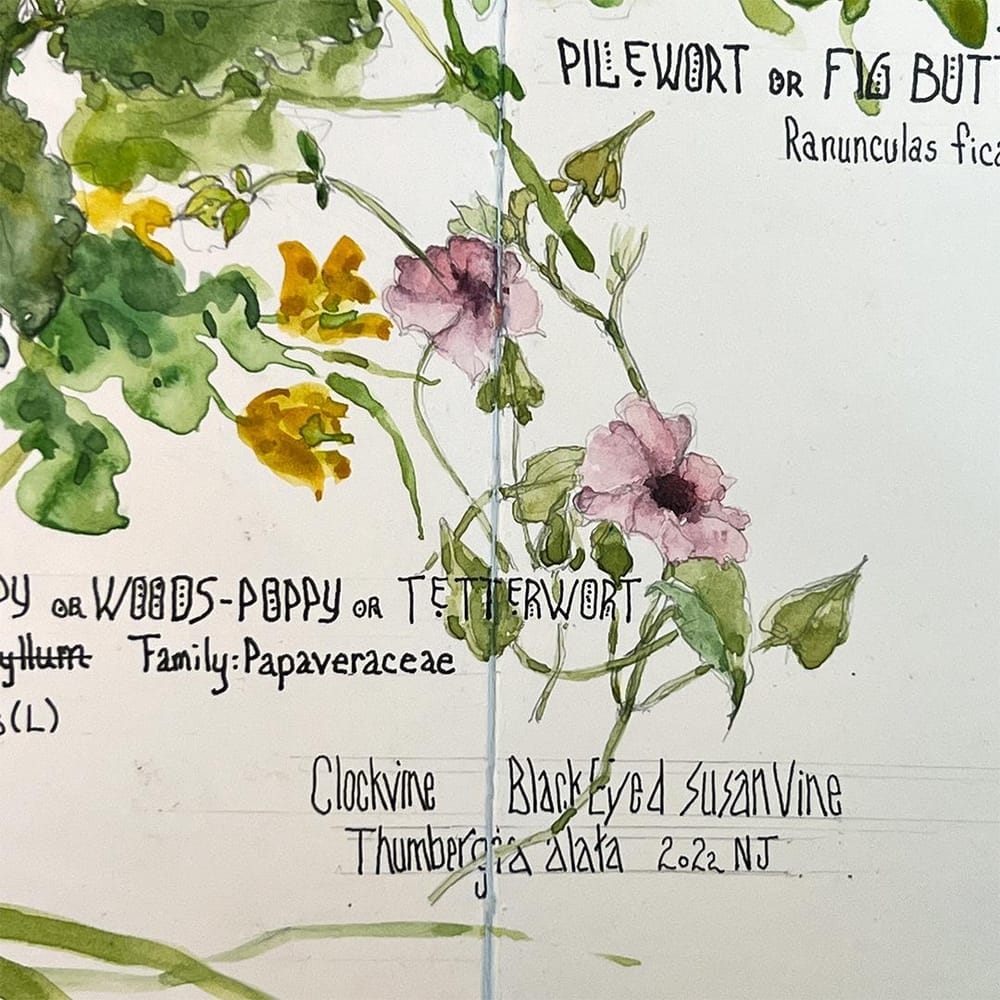 Perpetual Plant Journal en Plein Air - image 3 - student project