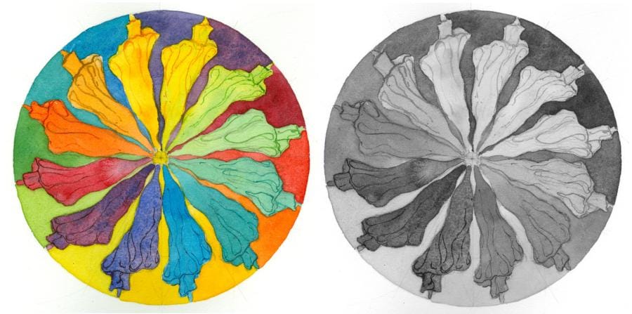 Stretch Your Imagination - image 7 - student project