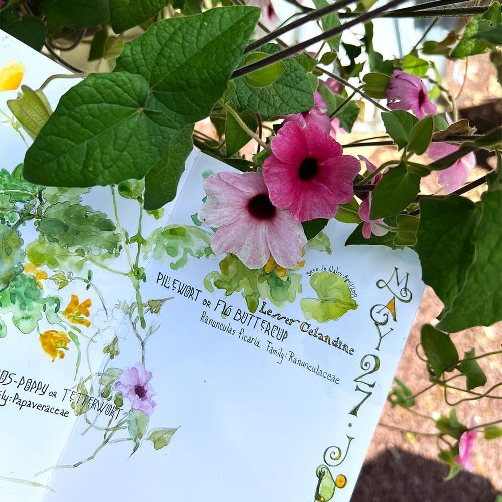 Perpetual Plant Journal en Plein Air - image 2 - student project