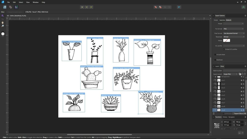 Beginner's Guide to Affinity Designer for iPad V2 | Export Persona - image 3 - student project