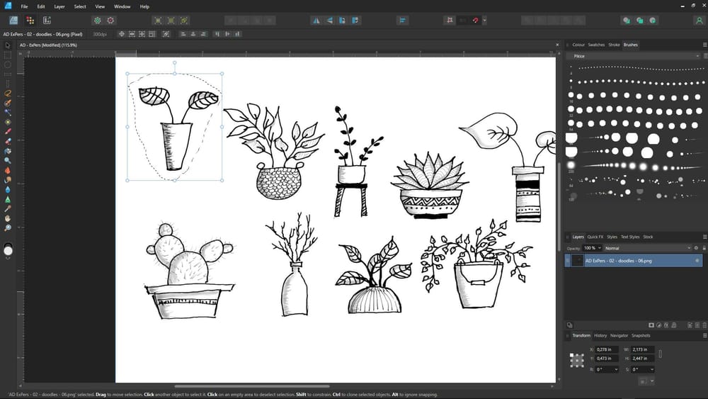 Beginner's Guide to Affinity Designer for iPad V2 | Export Persona - image 2 - student project