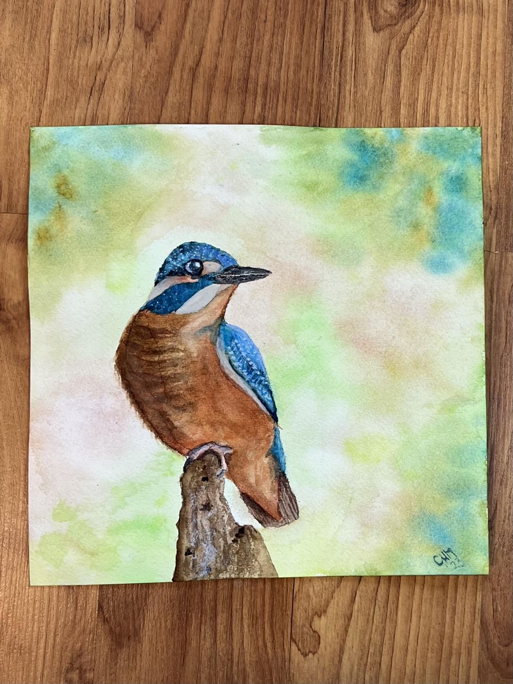 Bird project - image 1 - student project