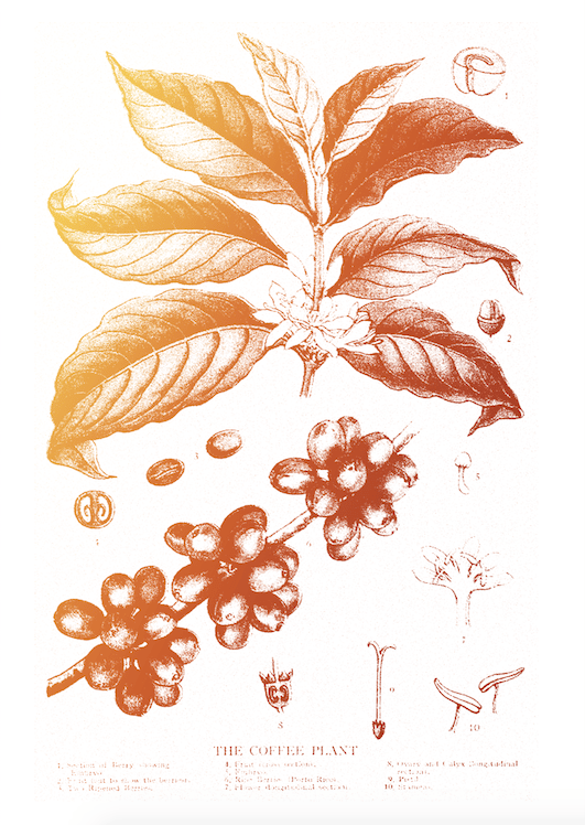 GILCI - image 2 - student project