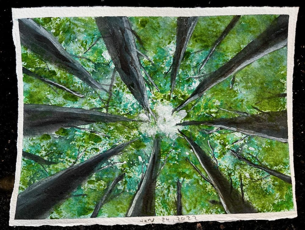 Simple Forests - image 3 - student project