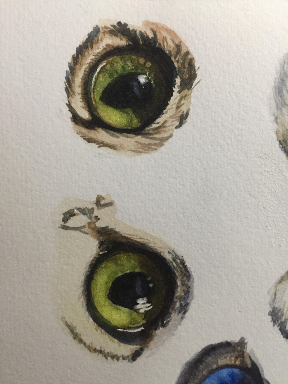 Eye, Eye, Captain! - image 2 - student project