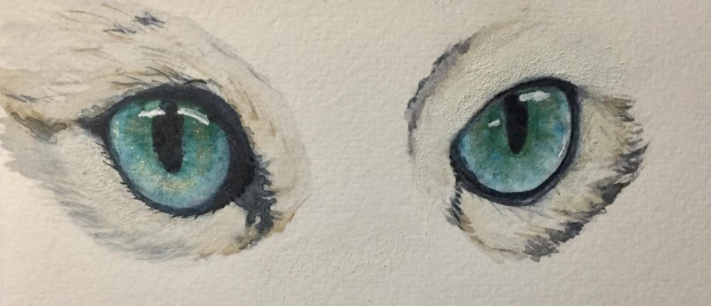 Eye, Eye, Captain! - image 4 - student project