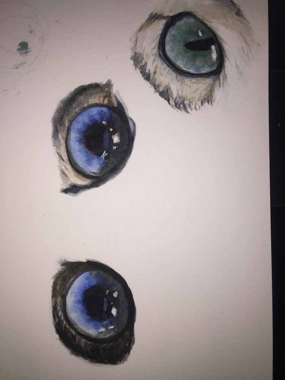 Eye, Eye, Captain! - image 3 - student project
