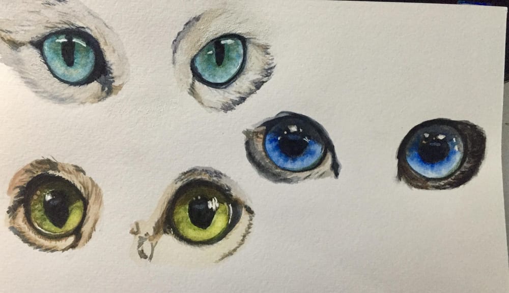 Eye, Eye, Captain! - image 1 - student project