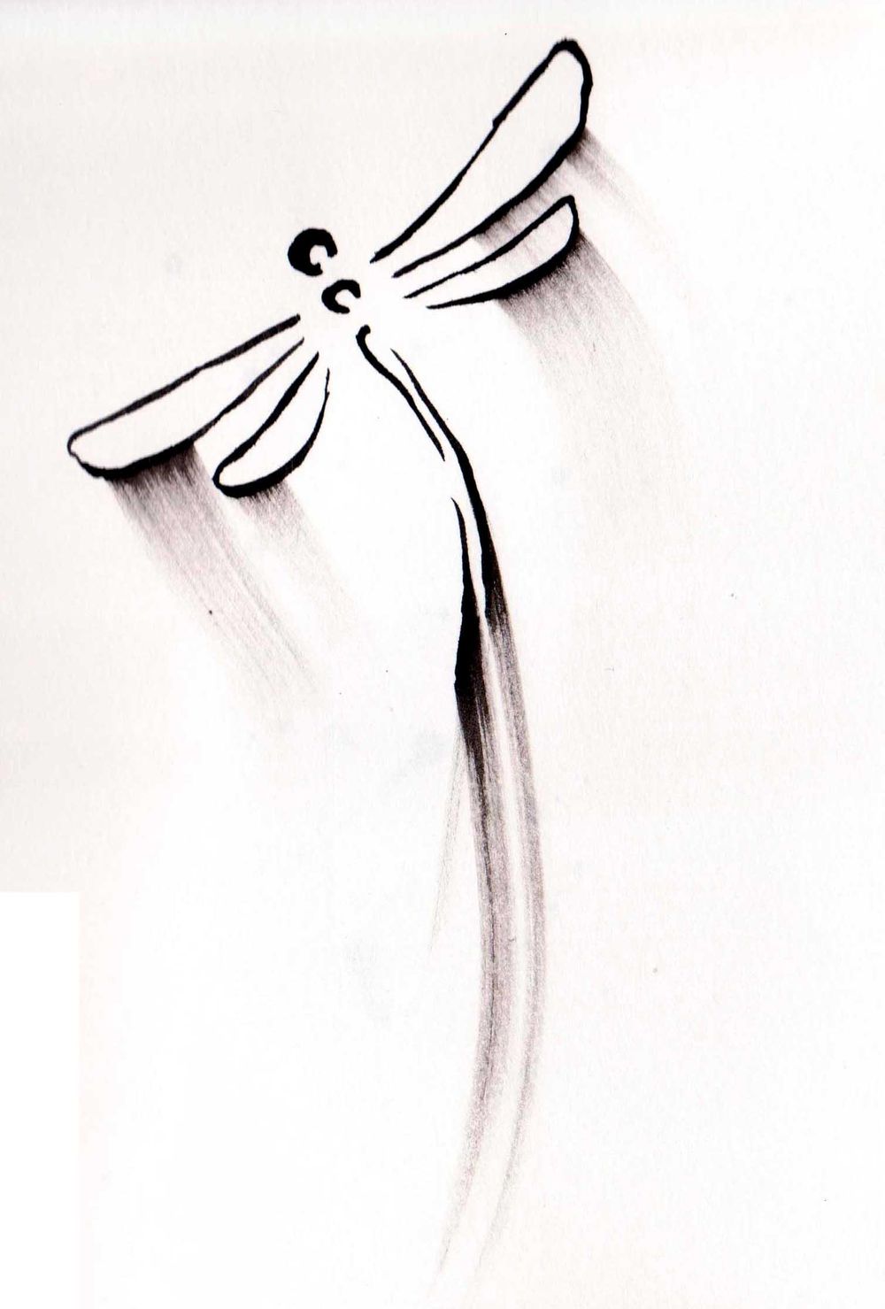 Dragonflies - image 4 - student project