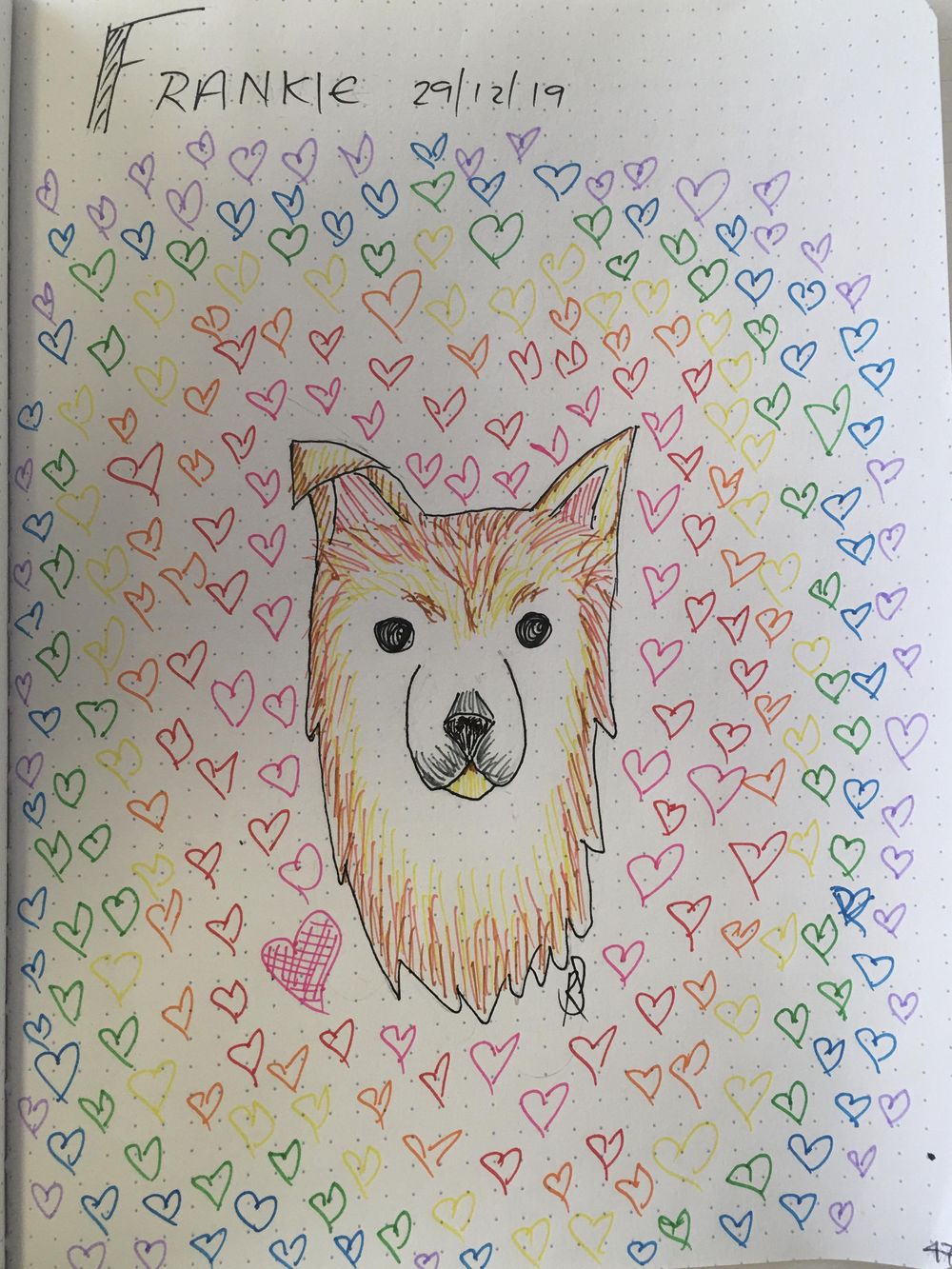 My Frankie - image 3 - student project