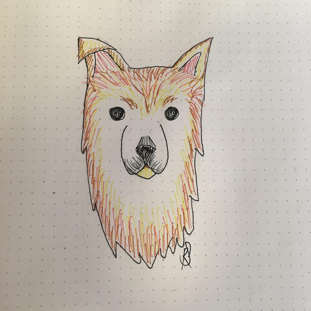 My Frankie - image 2 - student project