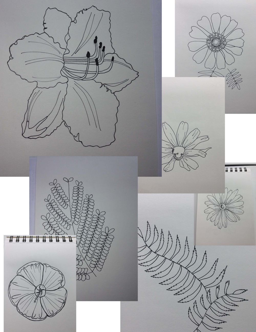 3 Focal Point Prints in 3 Weeks - image 4 - student project