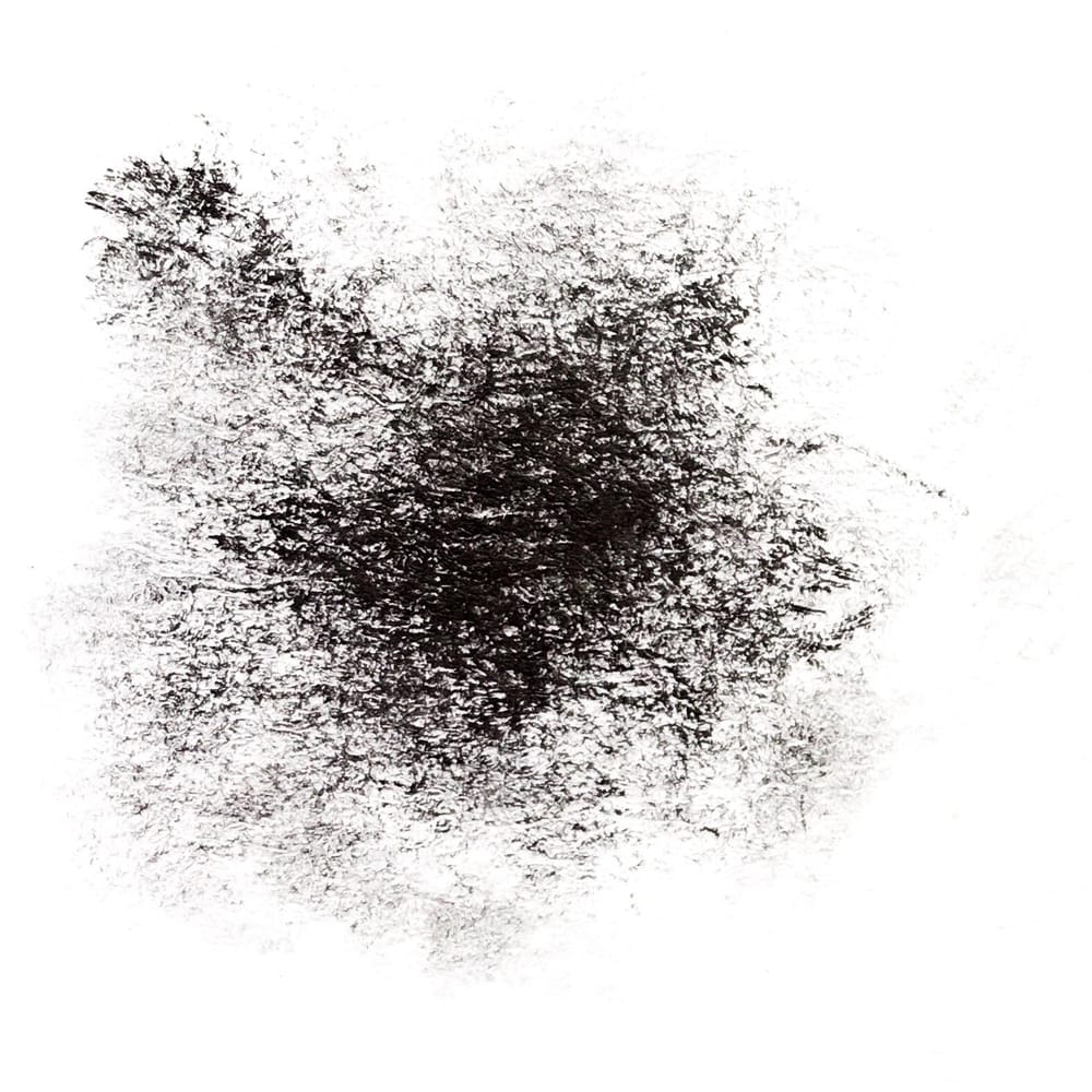 Costum brushes - image 3 - student project