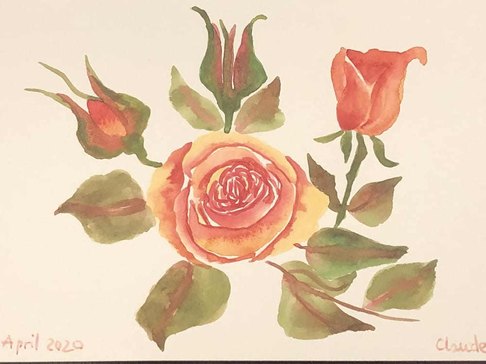 Sunny Rose - image 1 - student project