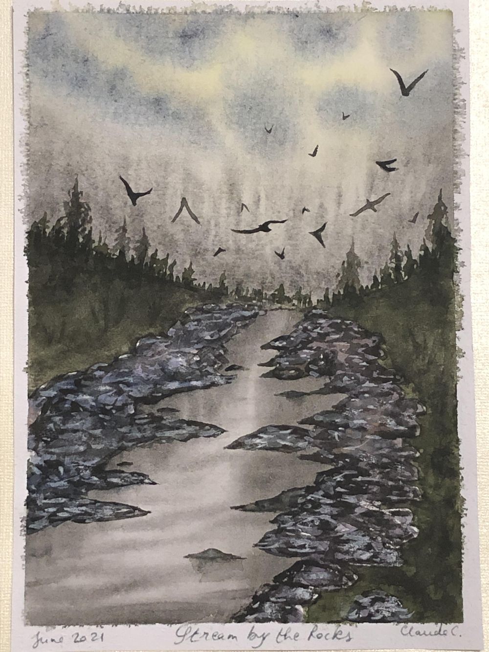 Stream by the Rocks on a Moody Day - image 1 - student project