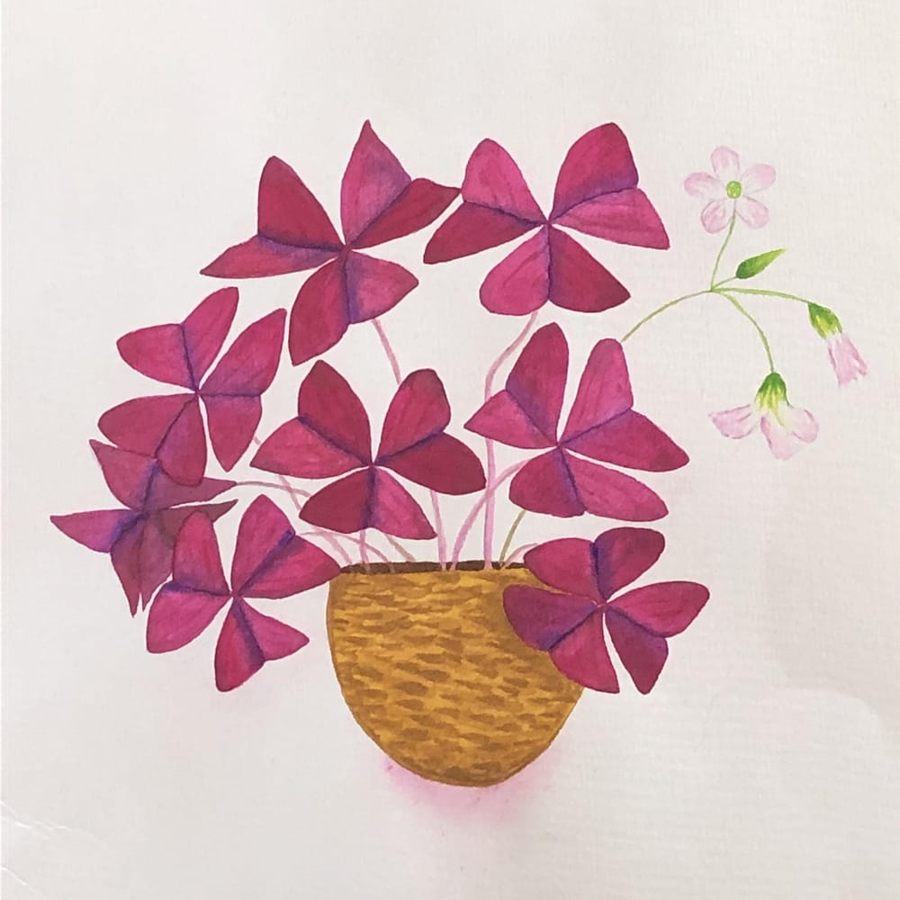Watercolor Leaves and Oxalis - image 3 - student project