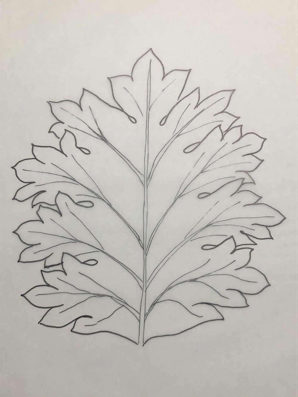 Acanthus - image 1 - student project