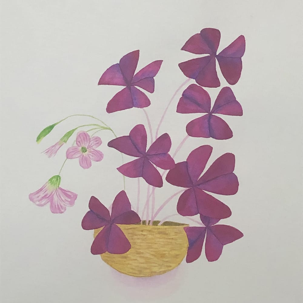 Watercolor Leaves and Oxalis - image 2 - student project