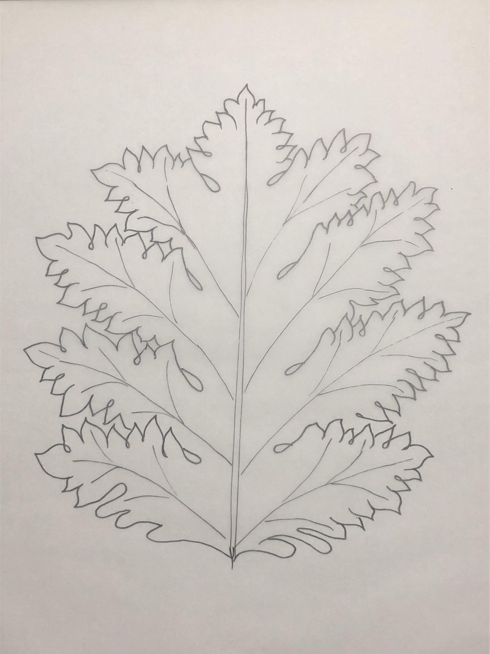 Acanthus - image 2 - student project