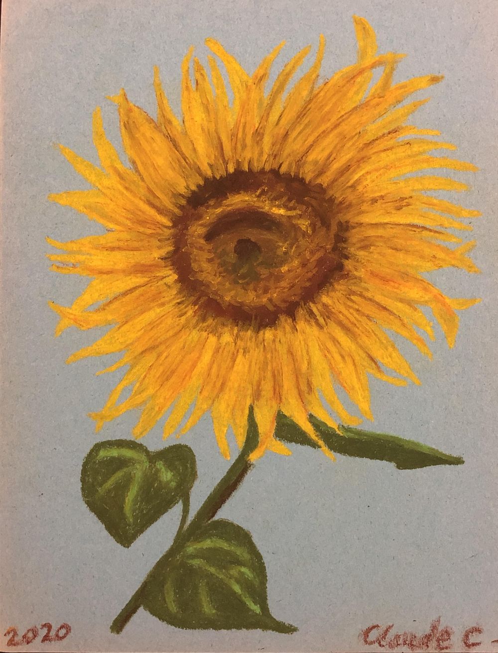 Oil Pastel Sunflower - image 1 - student project
