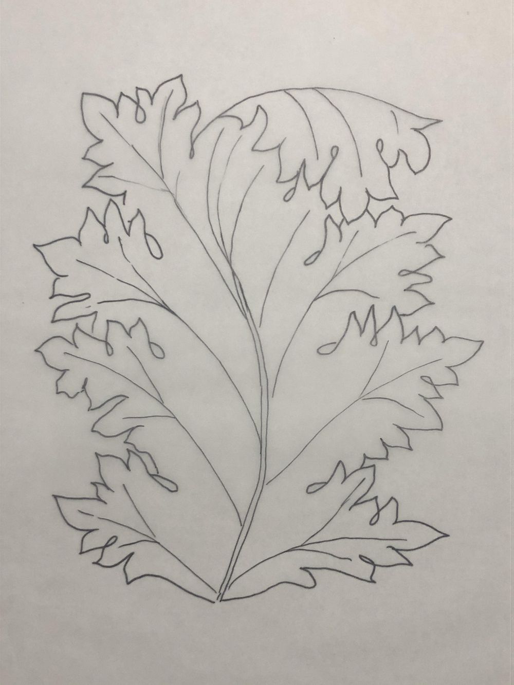Acanthus - image 4 - student project