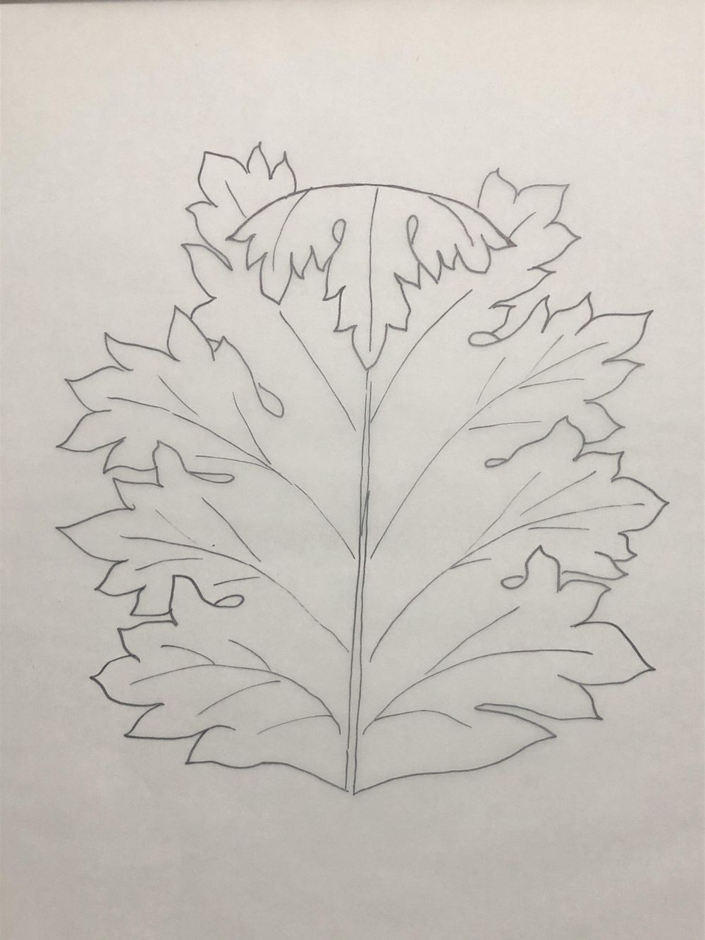 Acanthus - image 3 - student project