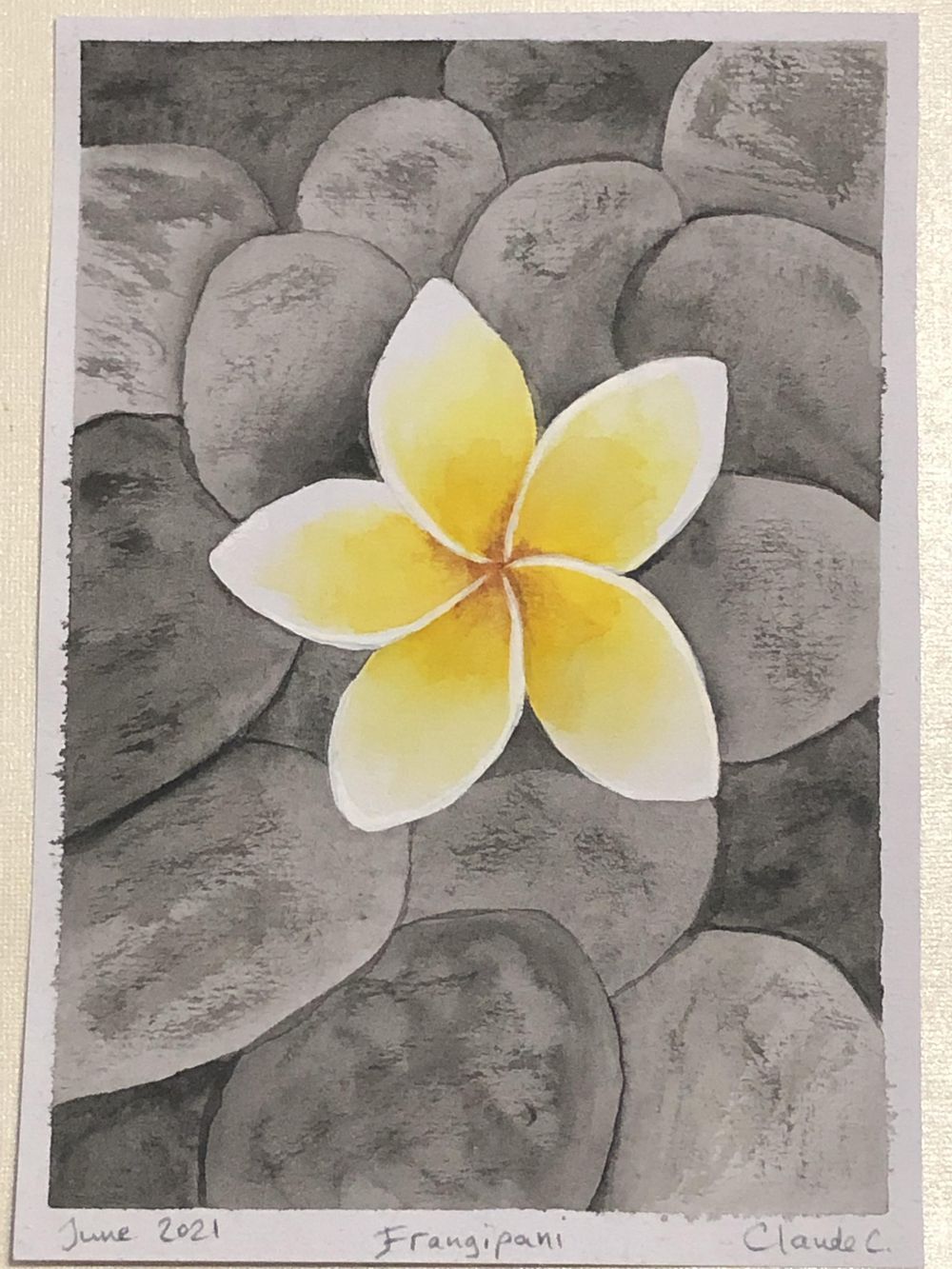 Color Splash! - image 2 - student project