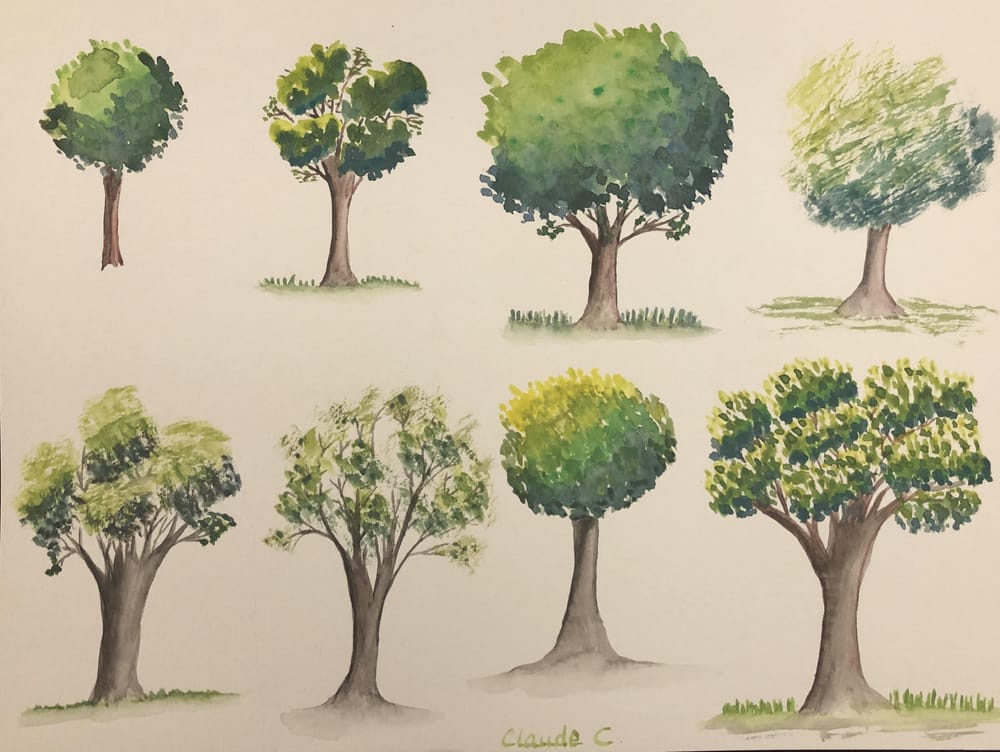 Treeeeees! - image 1 - student project