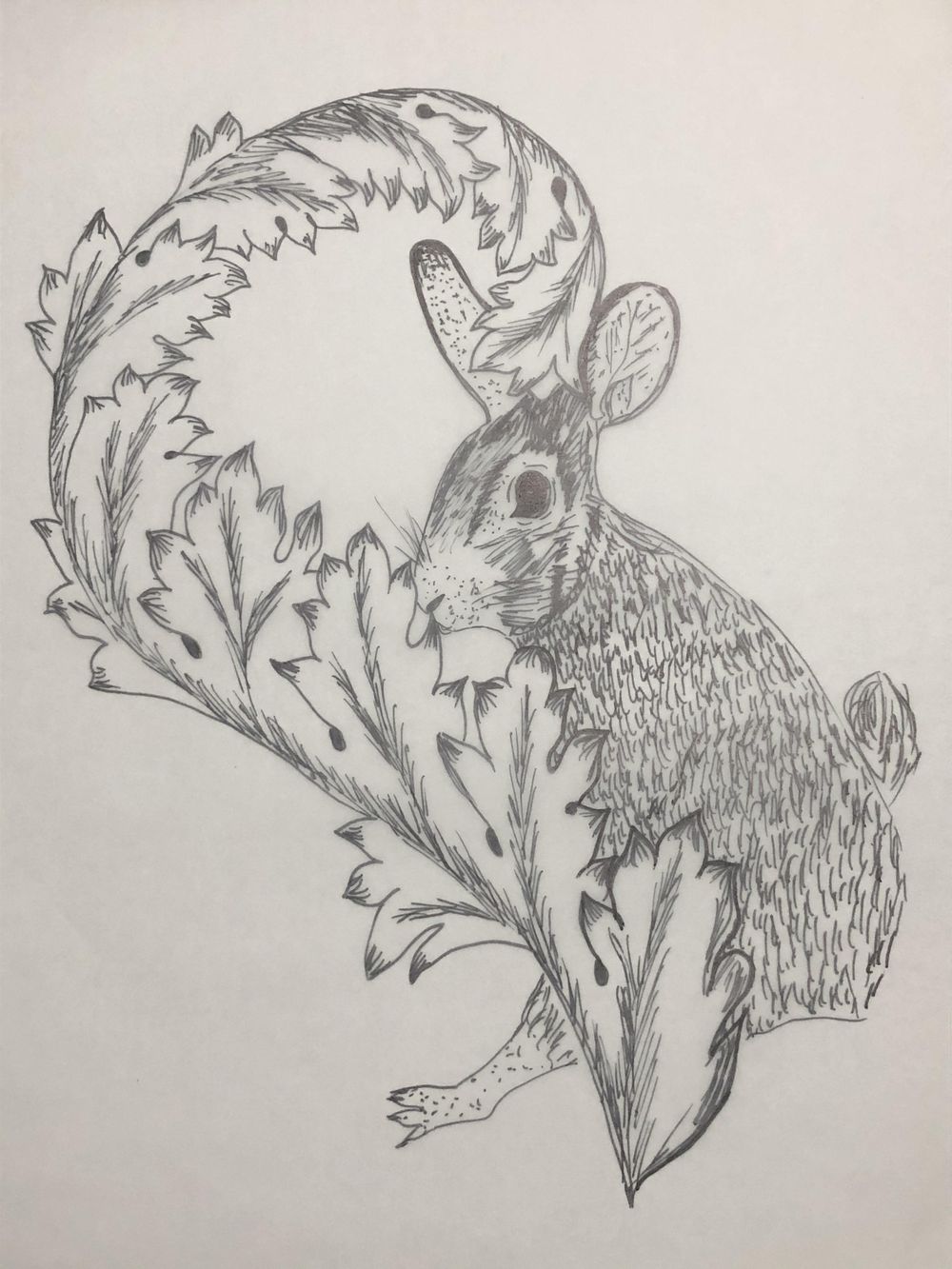 Acanthus - image 6 - student project