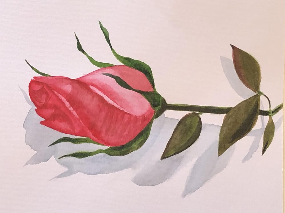 Rose - image 1 - student project