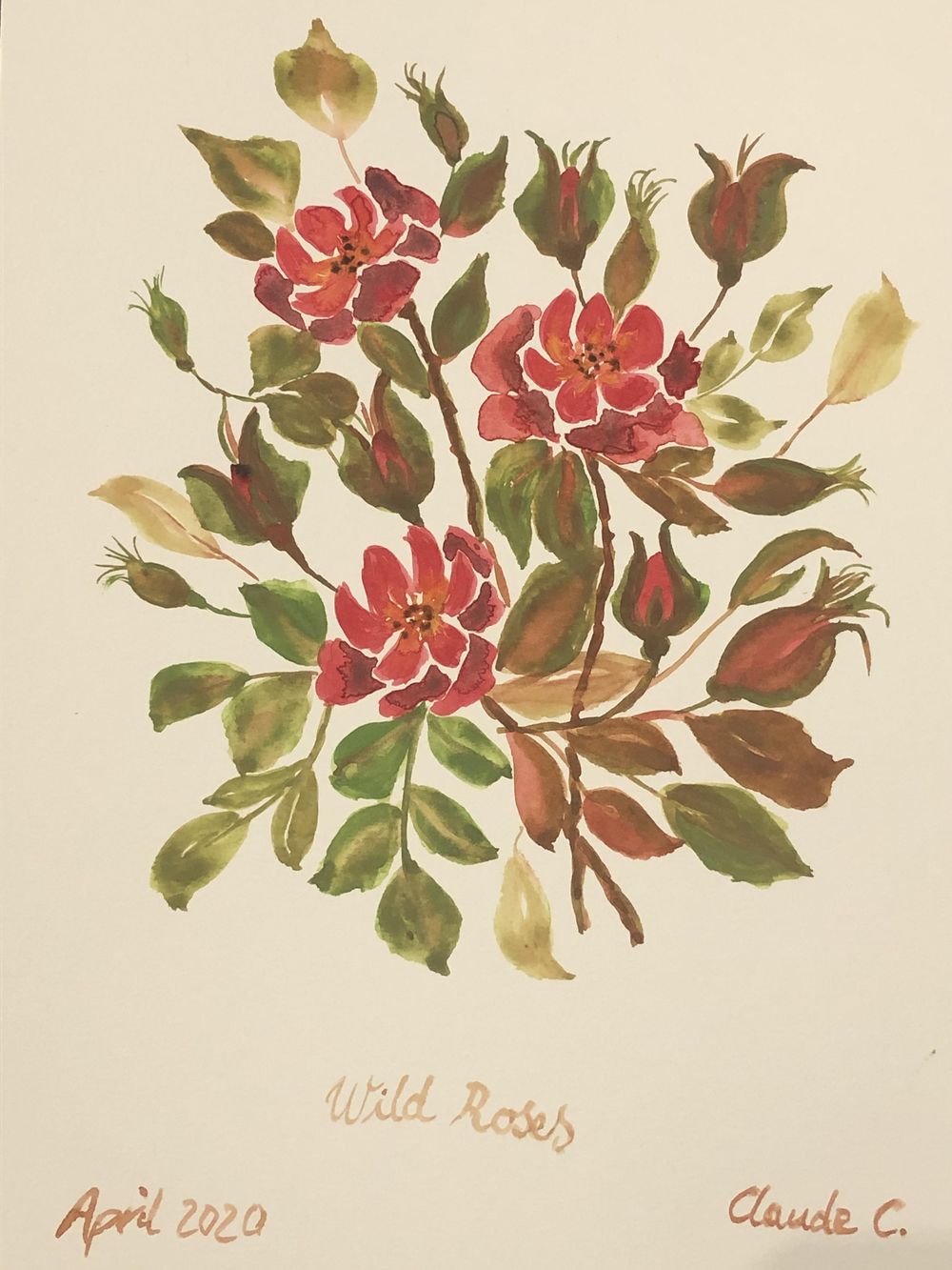 Wild Roses - image 1 - student project