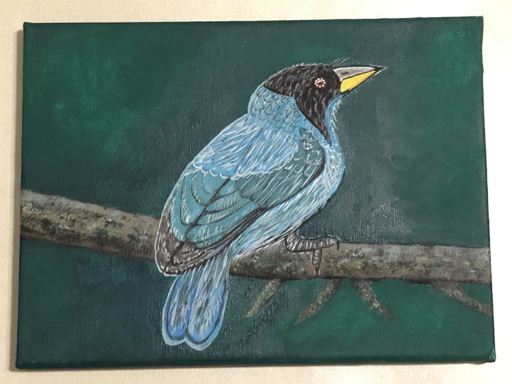 Blue Bird in Acrylics - image 1 - student project
