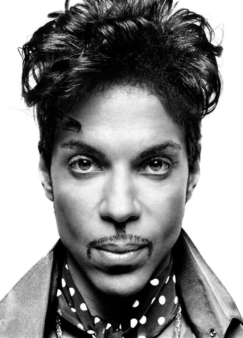 Prince pencil drawing - image 2 - student project