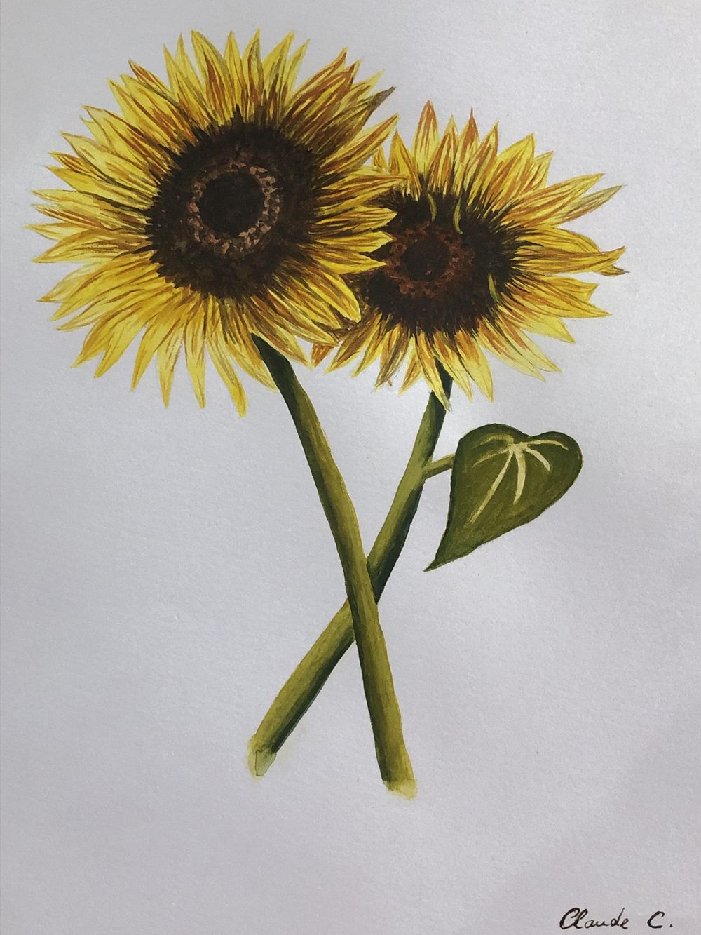 Sunflowers - image 1 - student project