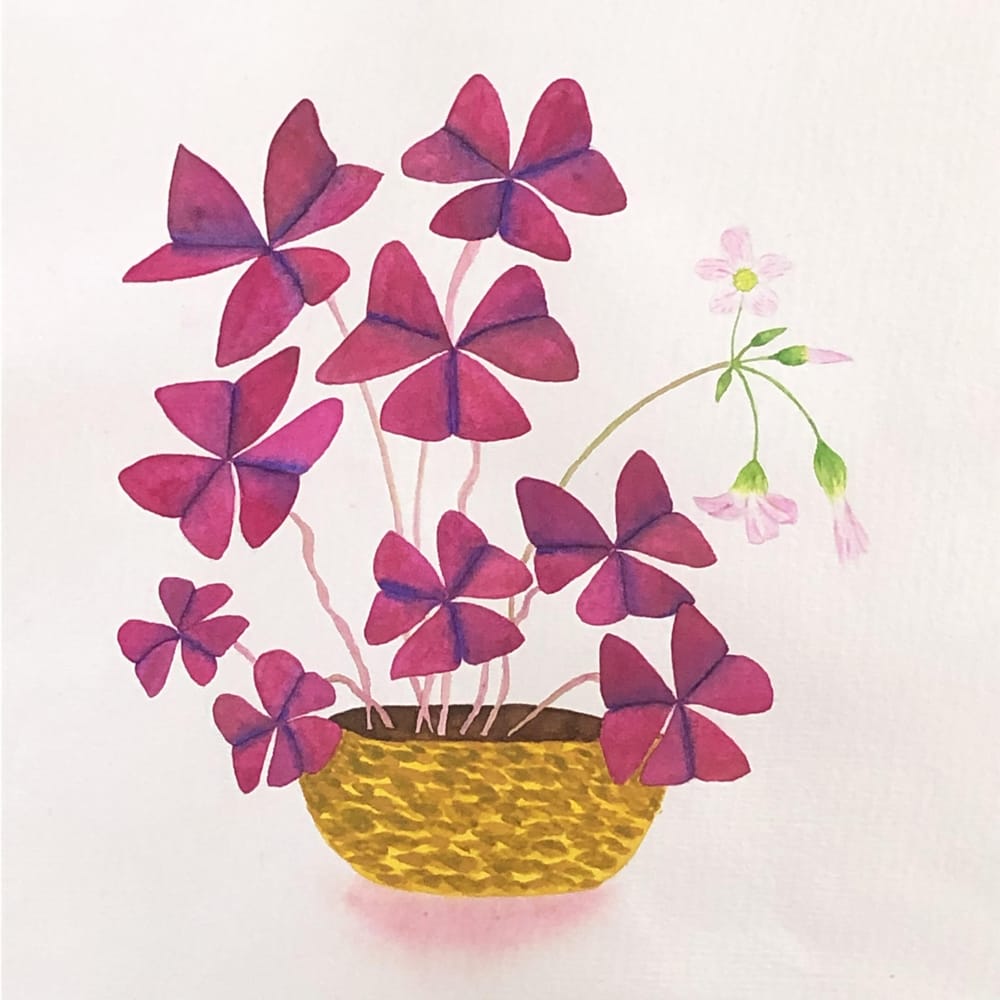 Watercolor Leaves and Oxalis - image 4 - student project