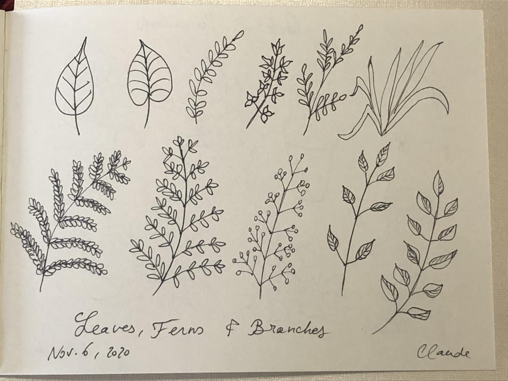 Botanical Line Drawing - image 3 - student project