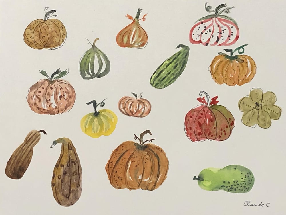 Pumpkins and Squash! - image 1 - student project